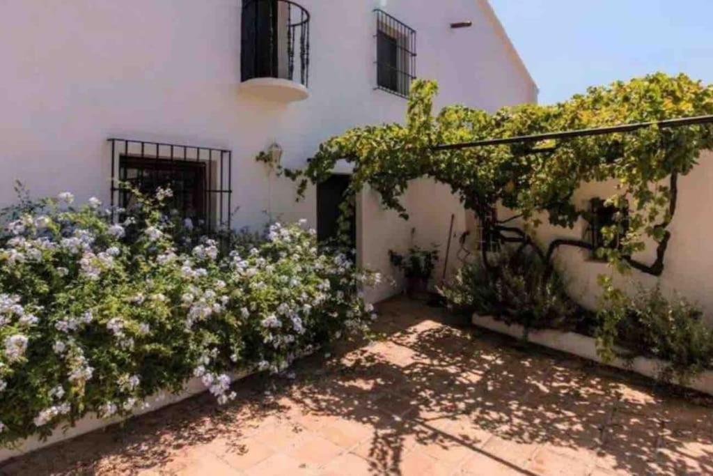 Cortijo Nerja Artist Paradise מראה חיצוני תמונה