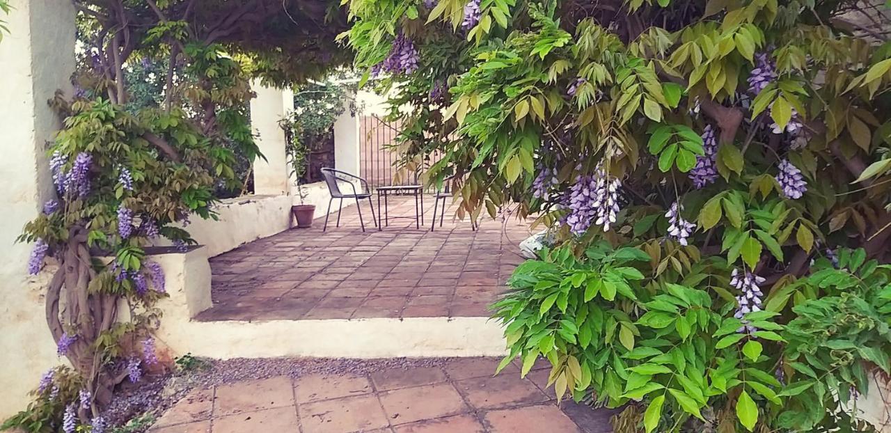 Cortijo Nerja Artist Paradise מראה חיצוני תמונה