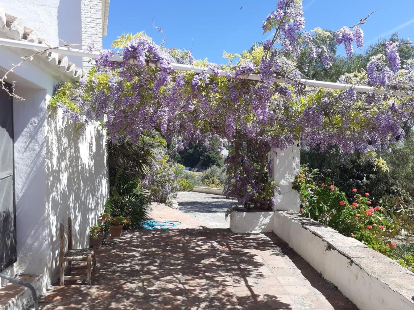 Cortijo Nerja Artist Paradise מראה חיצוני תמונה